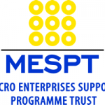 Micro Enterprises Support Programme Trust