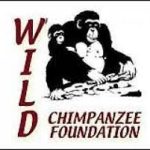 Wild Chimpanzee Foundation