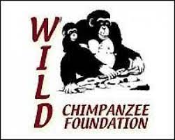 Wild Chimpanzee Foundation