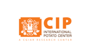 Centre international de la pomme de terre (CIP)