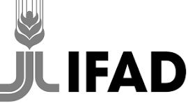 IFAD – International Fund for Agricultural Development