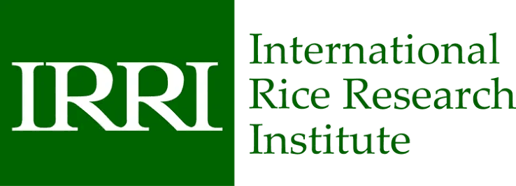 International Rice Research Institute (IRRI)